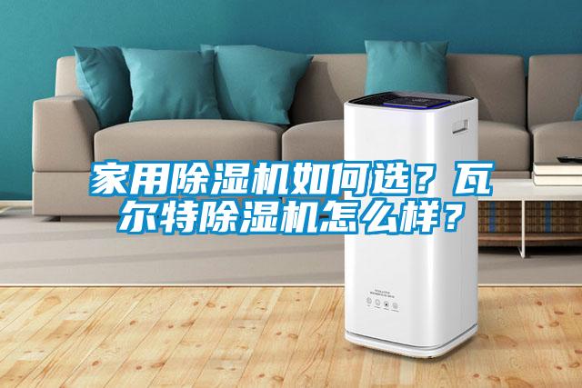 家用除湿机如何选？瓦尔特除湿机怎么样？