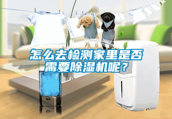 怎么去检测家里是否需要除湿机呢？