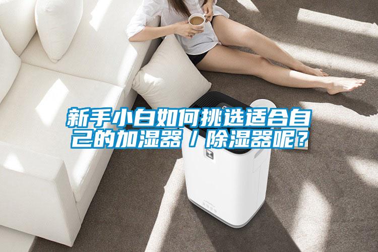 新手小白如何挑选适合自己的加湿器／除湿器呢？