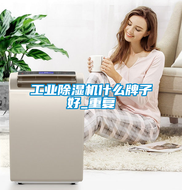 工业除湿机什么牌子好_重复