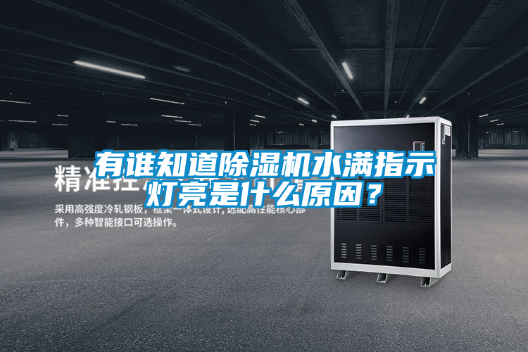 有谁知道除湿机水满指示灯亮是什么原因?