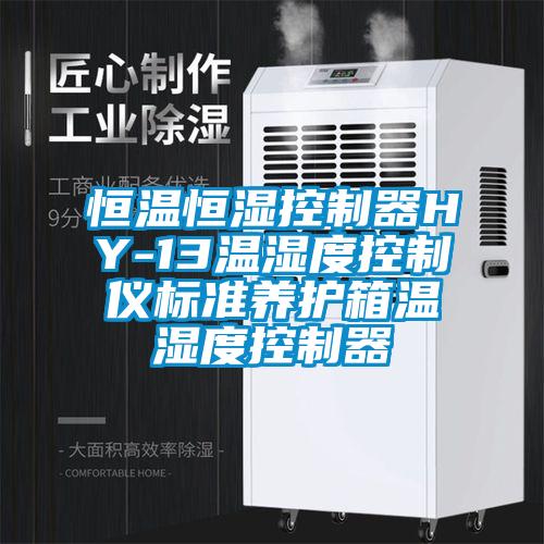 恒温恒湿控制器HY-13温湿度控制仪标准养护箱温湿度控制器