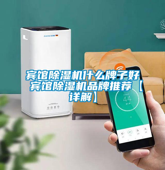 宾馆除湿机什么牌子好 宾馆除湿机品牌推荐【详解】
