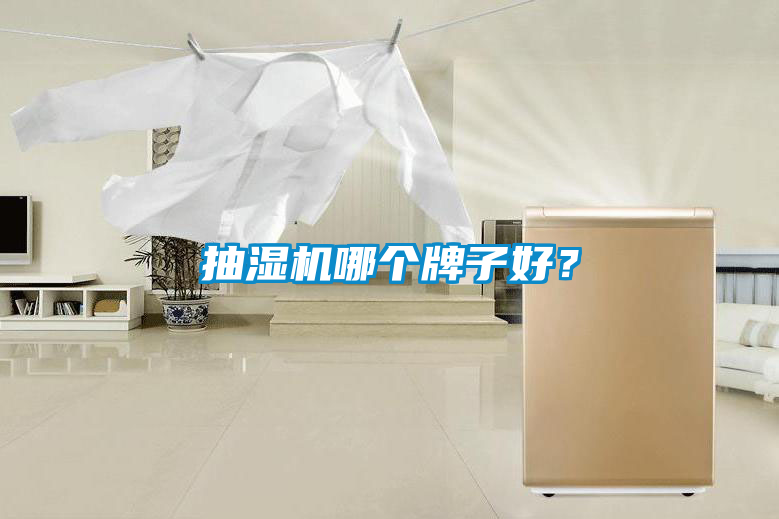抽湿机哪个牌子好？