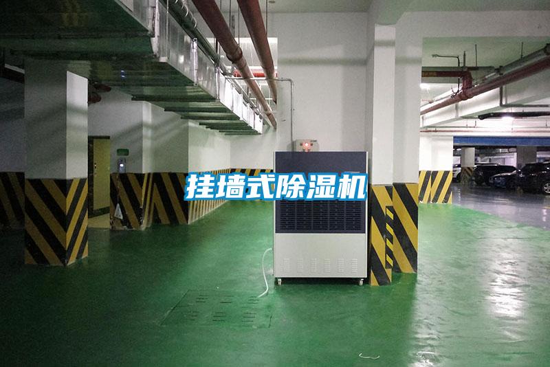 挂墙式除湿机