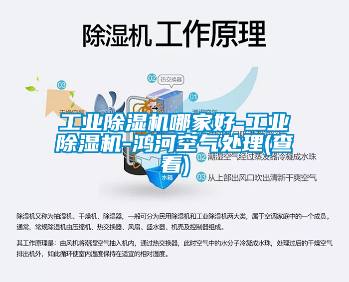 工业除湿机哪家好-工业除湿机-鸿河空气处理(查看)