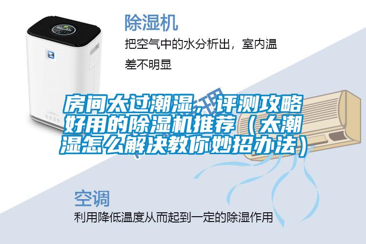 房间太过潮湿，评测攻略好用的除湿机推荐（太潮湿怎么解决教你妙招办法）