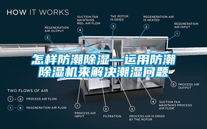 怎样防潮除湿—运用防潮除湿机来解决潮湿问题