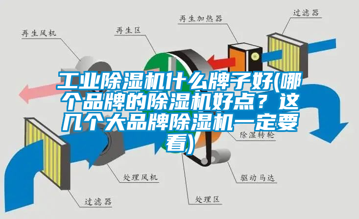 工业除湿机什么牌子好(哪个品牌的除湿机好点？这几个大品牌除湿机一定要看)