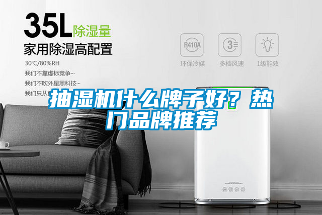 抽湿机什么牌子好？热门品牌推荐