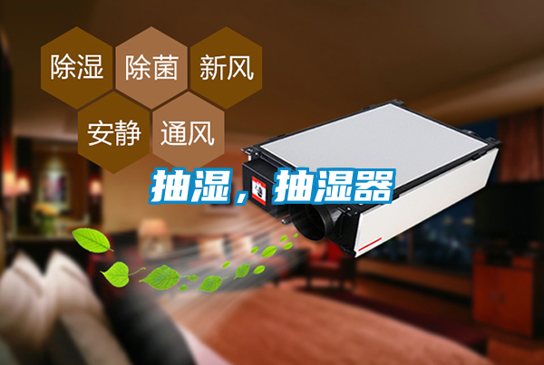抽湿,抽湿器