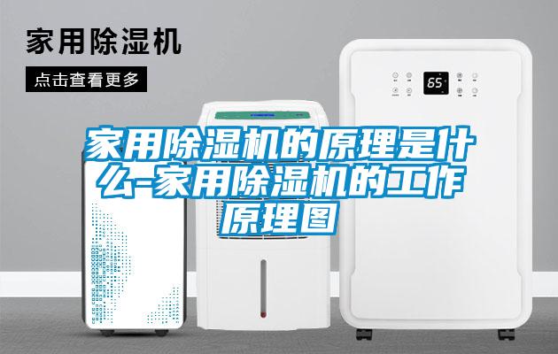 家用除湿机的原理是什么-家用除湿机的工作原理图