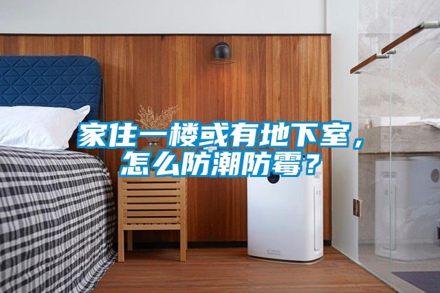 家住一楼或有地下室，怎么防潮防霉？