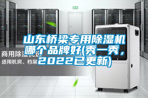 山东桥梁专用除湿机哪个品牌好(秀一秀，2022已更新)