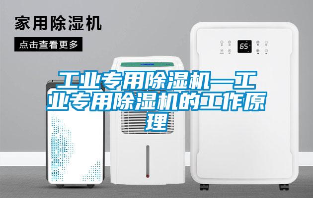 工业专用除湿机—工业专用除湿机的工作原理