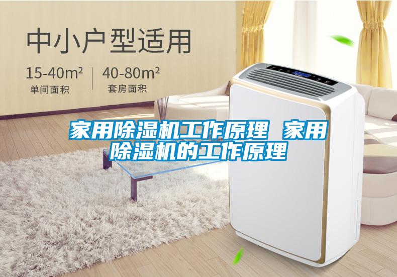 家用除湿机工作原理 家用除湿机的工作原理