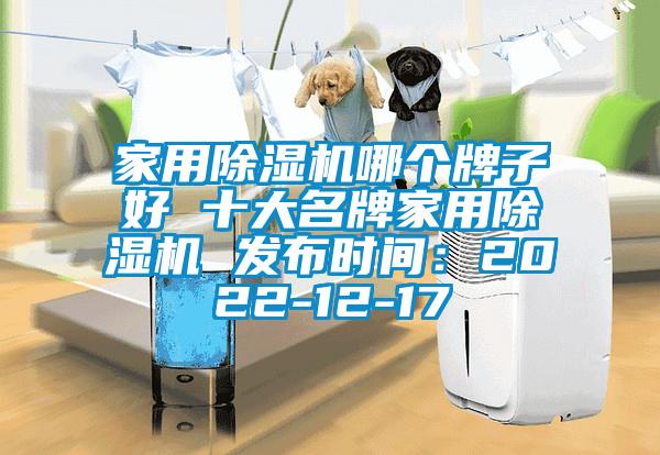 家用除湿机哪个牌子好 十大名牌家用除湿机 发布时间：2022-12-17