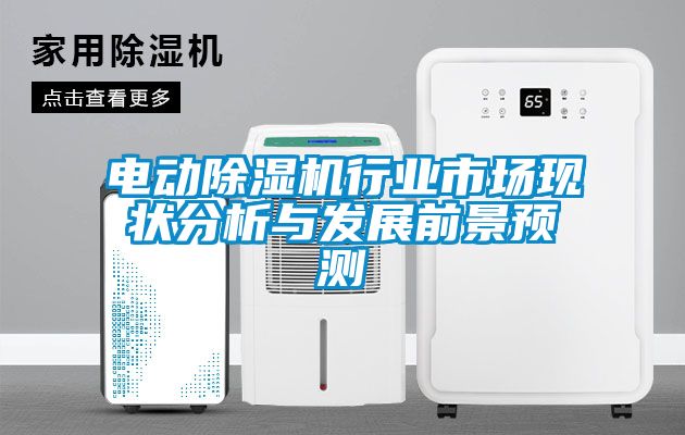 电动除湿机行业市场现状分析与发展前景预测