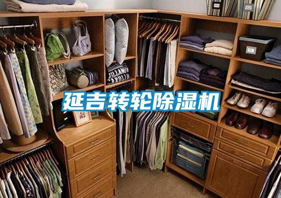 延吉转轮除湿机
