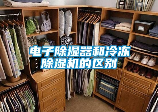 电子除湿器和冷冻除湿机的区别