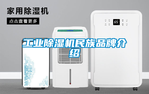 工业除湿机民族品牌介绍