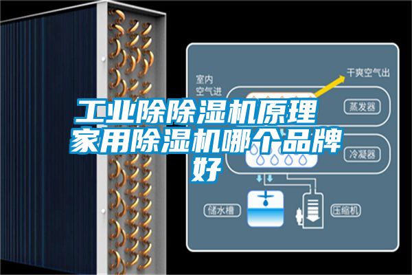 工业除除湿机原理 家用除湿机哪个品牌好