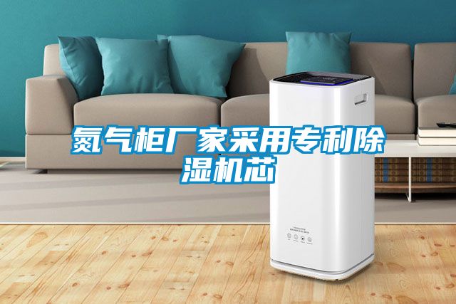 氮气柜厂家采用专利除湿机芯