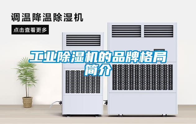 工业除湿机的品牌格局简介