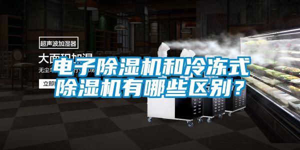 电子除湿机和冷冻式除湿机有哪些区别?