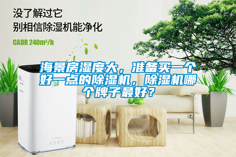 海景房湿度大，准备买一个好一点的除湿机，除湿机哪个牌子最好？