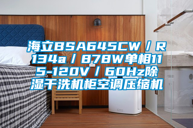 海立BSA645CW／R134a／878W单相115-120V／60Hz除湿干洗机柜空调压缩机