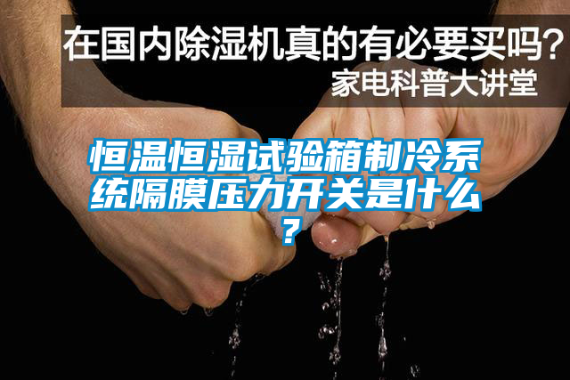 恒温恒湿试验箱制冷系统隔膜压力开关是什么？
