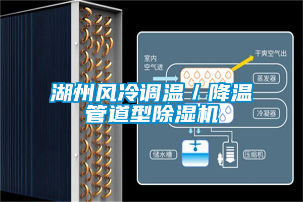 湖州风冷调温／降温管道型除湿机