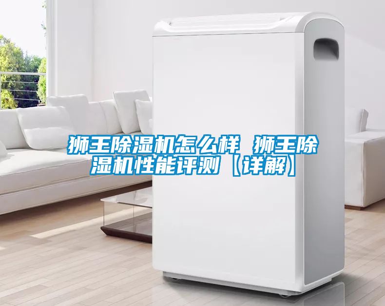 狮王除湿机怎么样 狮王除湿机性能评测【详解】