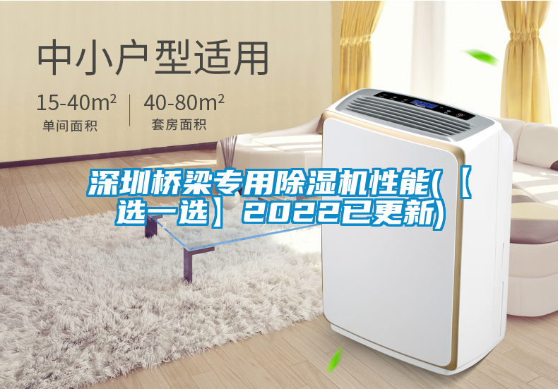 深圳桥梁专用除湿机性能(【选一选】2022已更新)