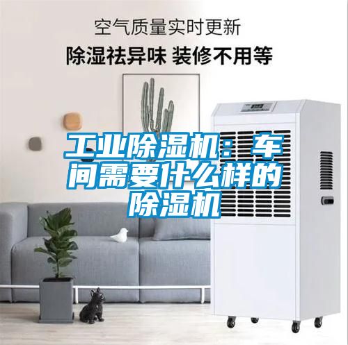 工业除湿机：车间需要什么样的除湿机