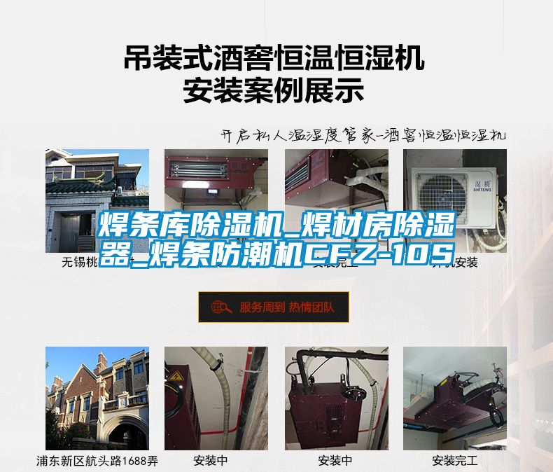 焊条库除湿机_焊材房除湿器_焊条防潮机CFZ-10S