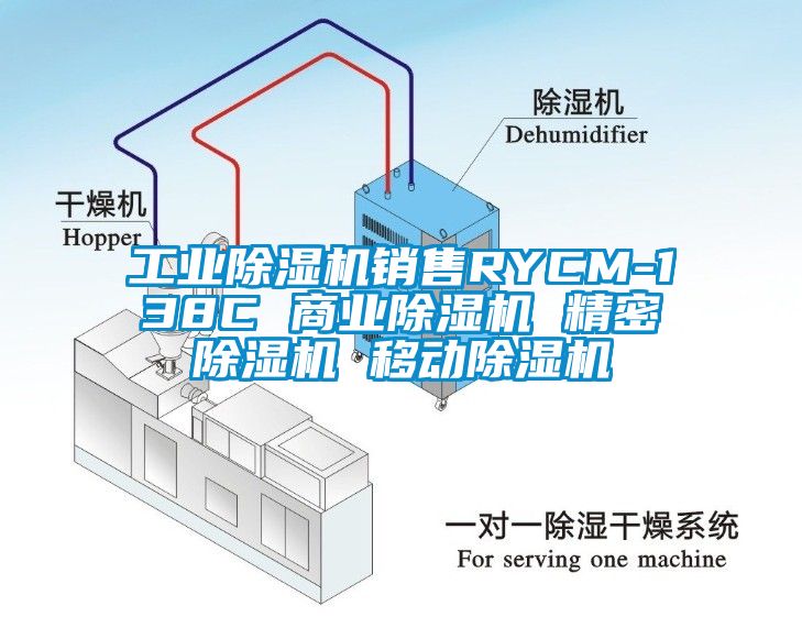 工业除湿机销售RYCM-138C 商业除湿机 精密除湿机 移动除湿机