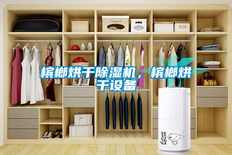 槟榔烘干除湿机，槟榔烘干设备