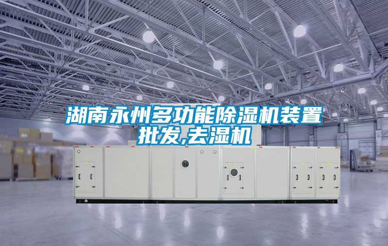 湖南永州多功能除湿机装置批发,去湿机