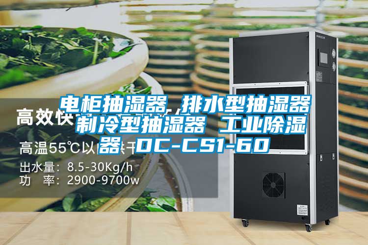 电柜抽湿器 排水型抽湿器 制冷型抽湿器 工业除湿器 DC-CS1-60