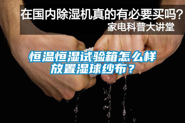 恒温恒湿试验箱怎么样放置湿球纱布？