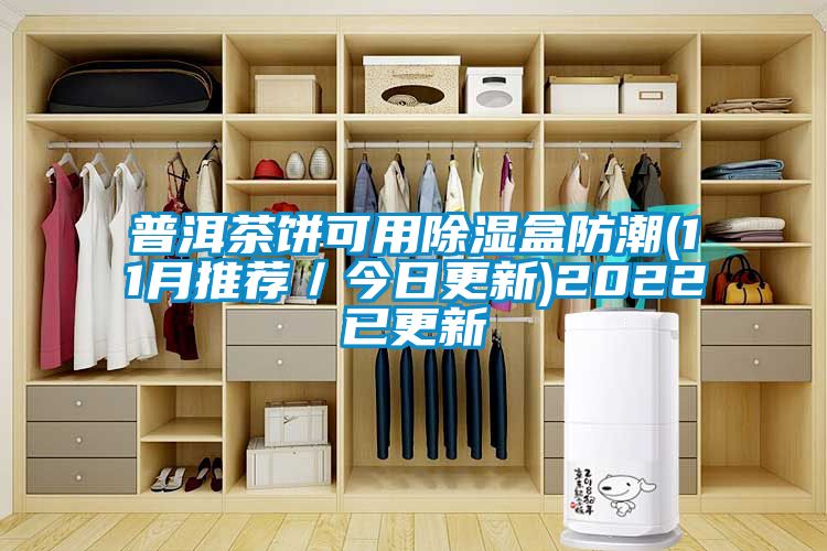 普洱茶饼可用除湿盒防潮(11月推荐／今日更新)2022已更新