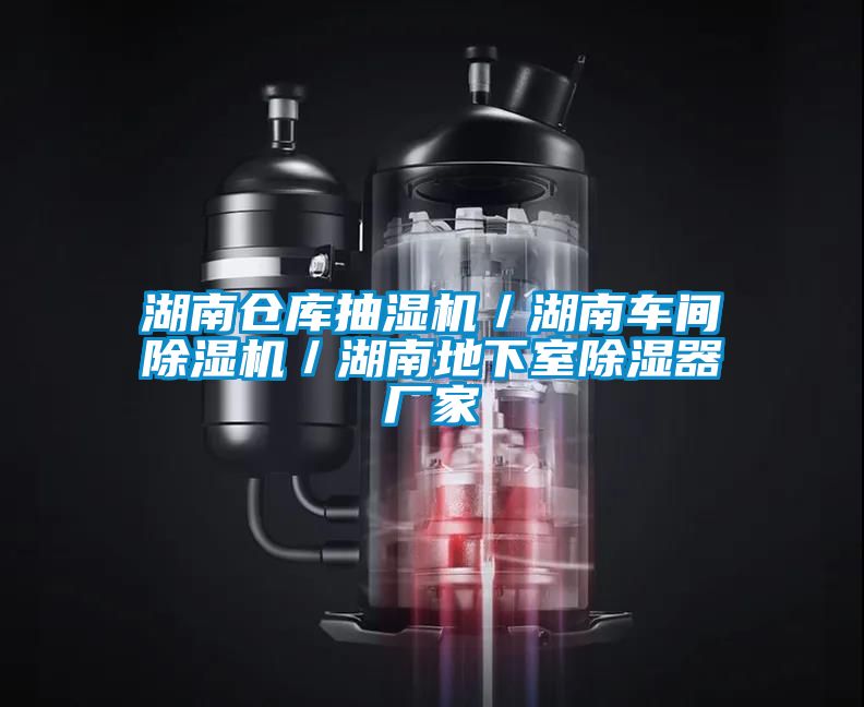 湖南仓库抽湿机/湖南车间除湿机/湖南地下室除湿器厂家