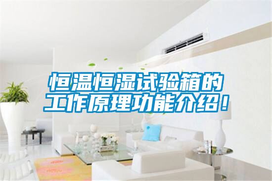 恒温恒湿试验箱的工作原理功能介绍！