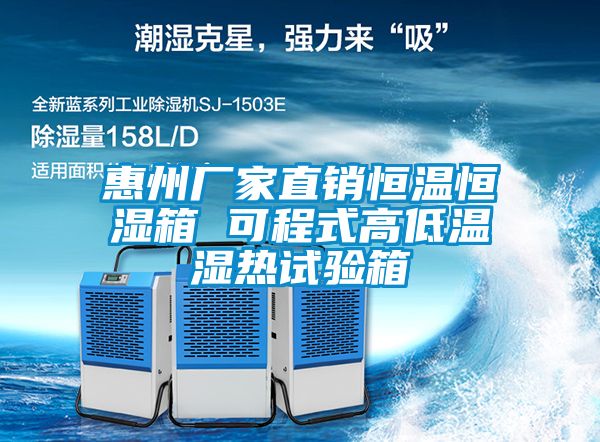 惠州厂家直销恒温恒湿箱 可程式高低温湿热试验箱