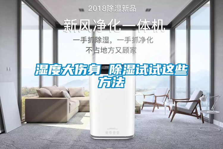 湿度大伤身 除湿试试这些方法
