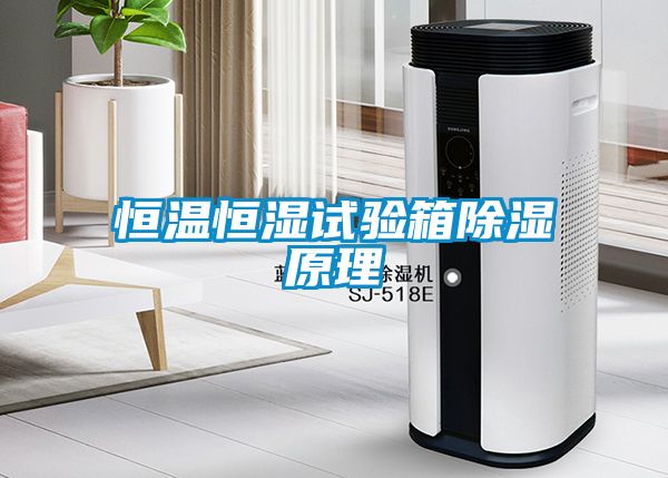 恒温恒湿试验箱除湿原理