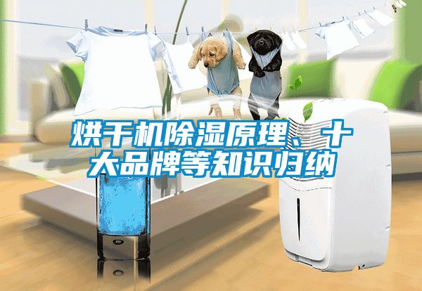 烘干机除湿原理、十大品牌等知识归纳