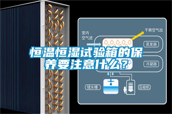 恒温恒湿试验箱的保养要注意什么？